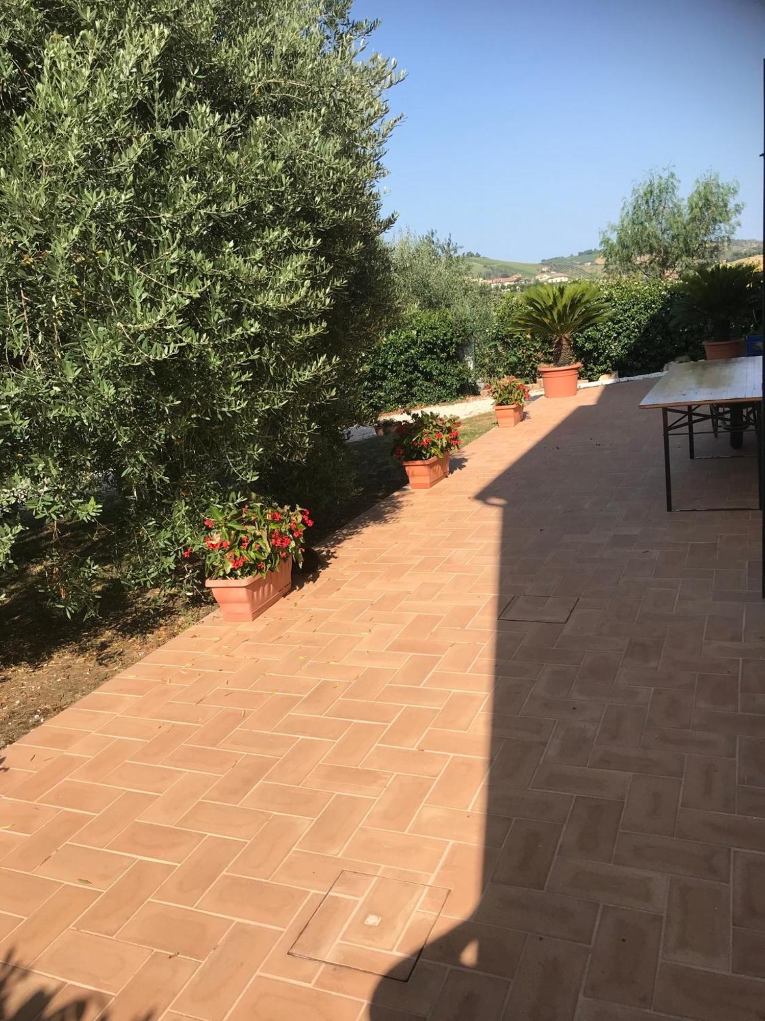 Agriturismo Cerquatonda Montalto delle Marche Ngoại thất bức ảnh