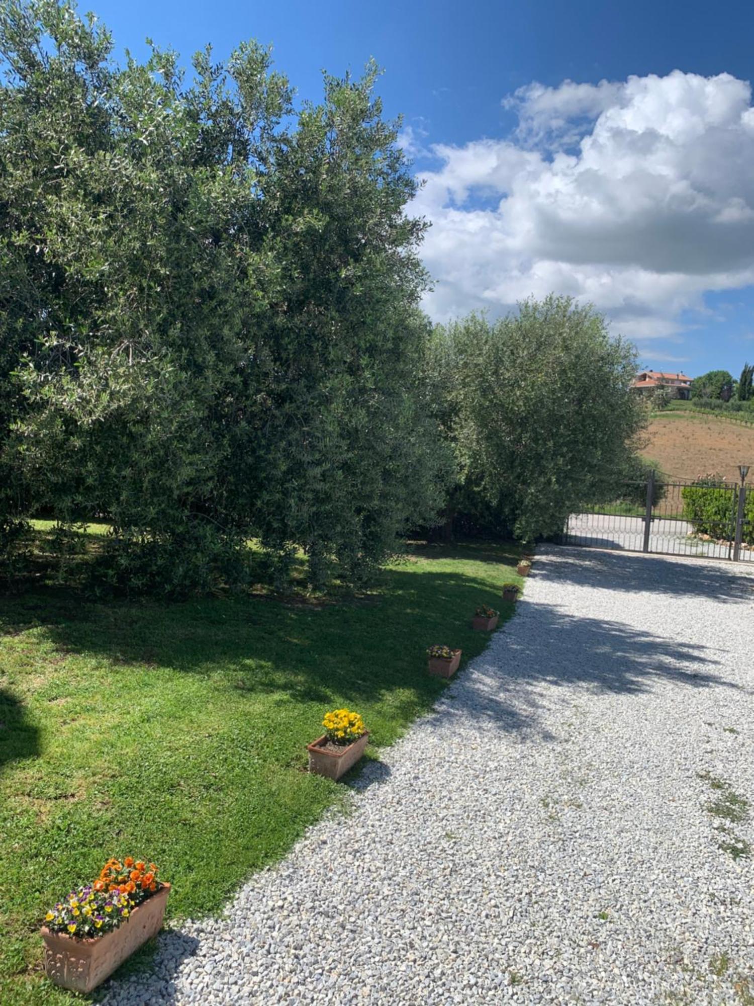 Agriturismo Cerquatonda Montalto delle Marche Ngoại thất bức ảnh